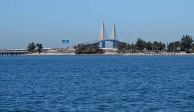 Manatee County cruise port could face new legislative limits