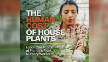 Report alleges unsafe conditions for nursery workers in South Florida, drawing response from major plant supplier