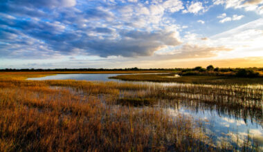 Everglades restoration also helps reduce the impacts of climate change, study finds