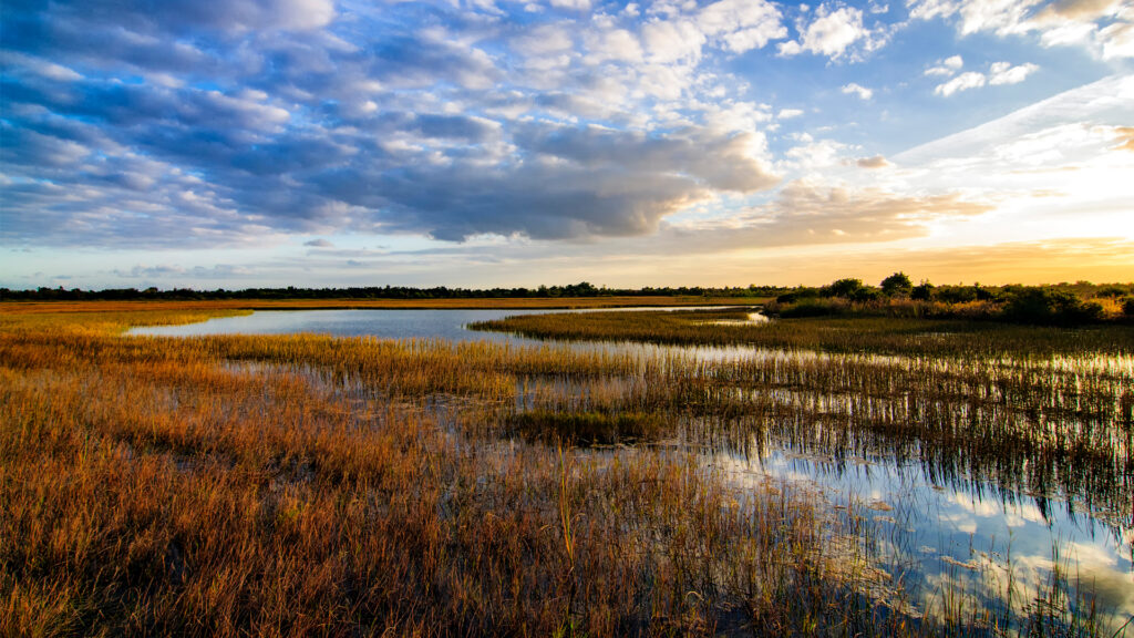 The sun sets over the Florida Everglades (iStock image)