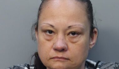 Woman pleads guilty in wrong-way crash on turnpike in Miramar