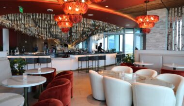 Peek inside 4 new cocktail, wine bars in Broward, Palm Beach counties