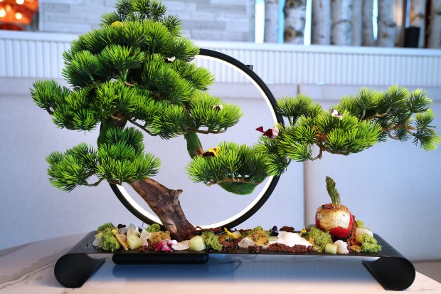 The Garden of Eden dessert, a secret menu item, at the Ibis Sky Lounge inside the Omni Fort Lauderdale Hotel in Fort Lauderdale on Thursday, Feb. 26, 2026. (Carline Jean/South Florida Sun Sentinel)