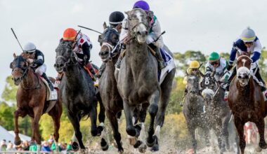 Stars of Yesterday: Looking Back at Best Tampa Bay Derby Winners