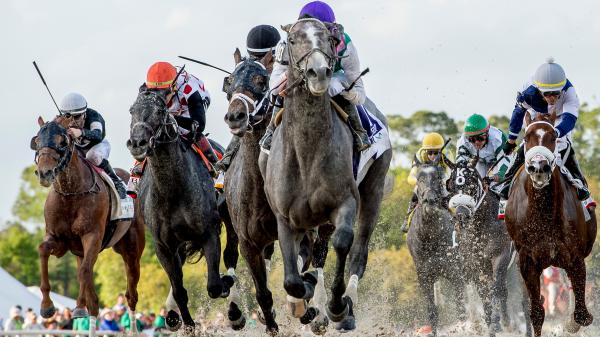 Stars of Yesterday: Looking Back at Best Tampa Bay Derby Winners
