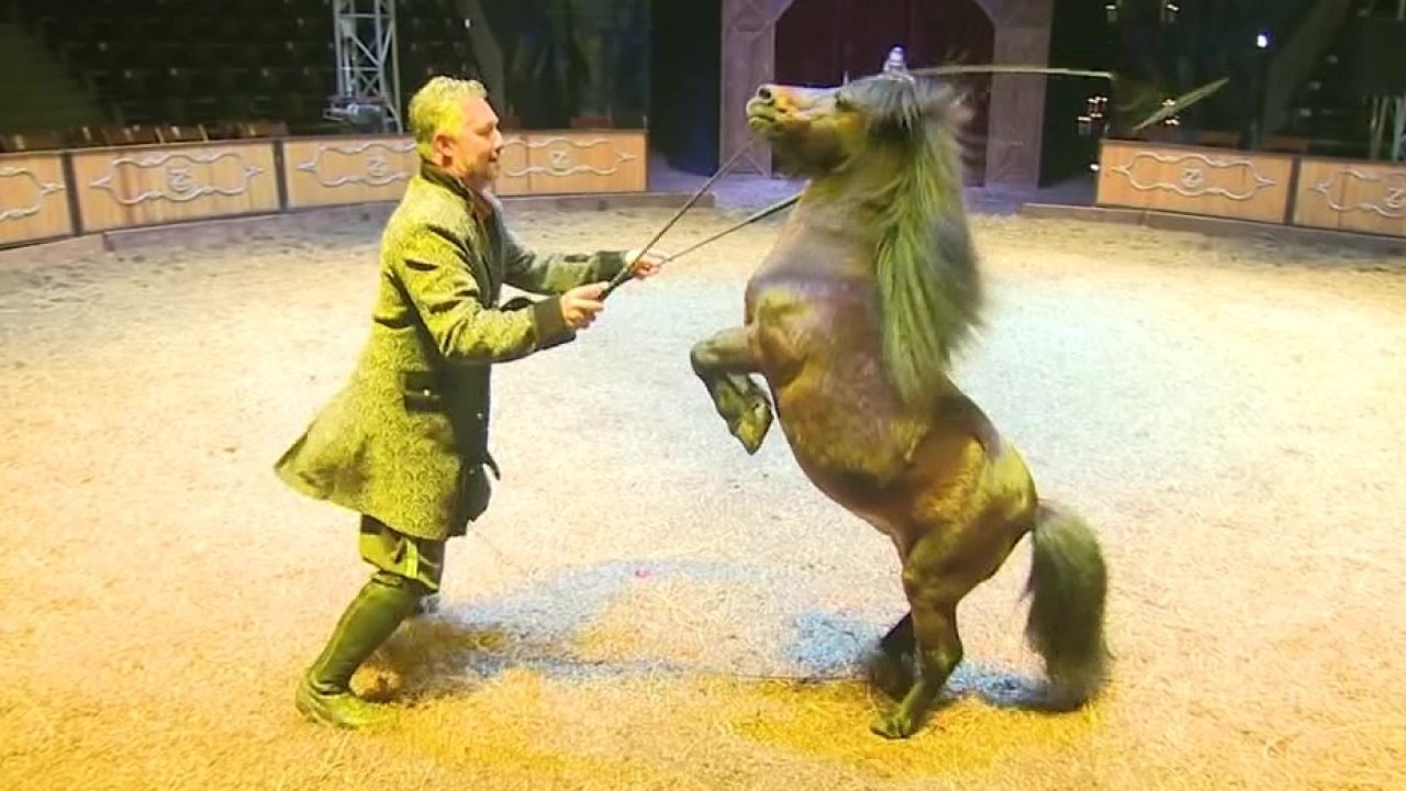 Cirque Ma’Ceo performing in Lutz this weekend