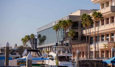 Art Fair Tampa to debut with 300+ artists in major three-day event this fall