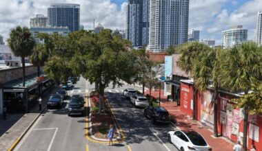 Las Olas tree doomed by termites to be chopped down Thursday