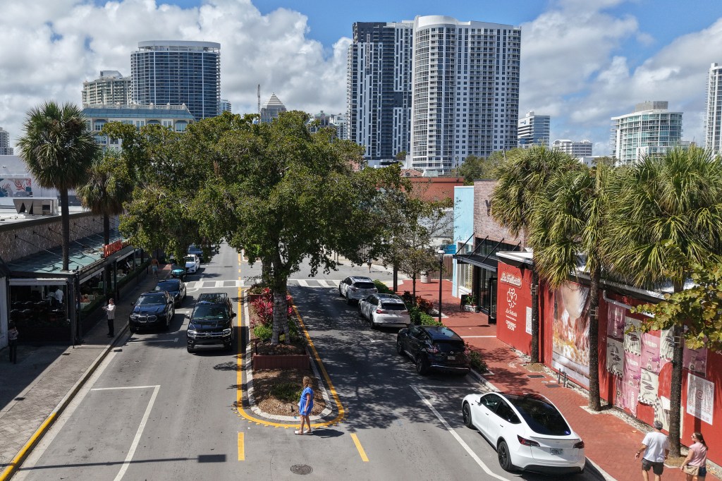 Las Olas tree doomed by termites to be chopped down Thursday