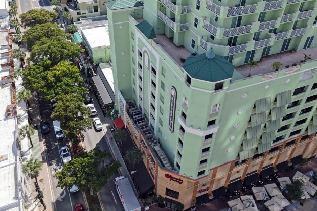 The western grouping of black olive trees near the Riverside Hotel stand tall in the median of Las Olas in downtown Fort Lauderdale on March 9. (Amy Beth Bennett/South Florida Sun Sentinel)