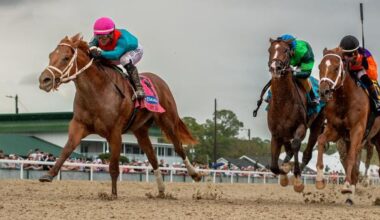 2026 Kentucky Derby Prospect Profiles: Tampa Bay Derby Winner The Puma