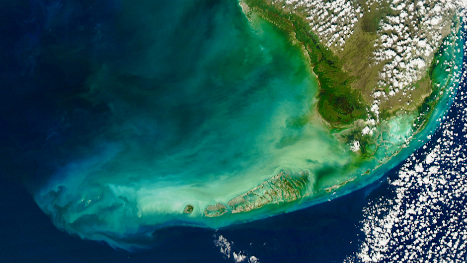 University of Miami launches new research on governance of Florida’s Coral Reef