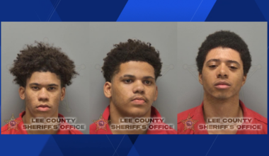 Cape Coral police arrest 3 teens on prowling charges