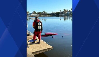 Car found in canal in southwest Cape Coral