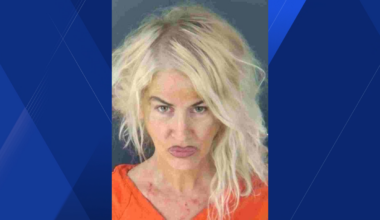 Florida woman faces murder charge after deputies say she confessed to roommate stabbing