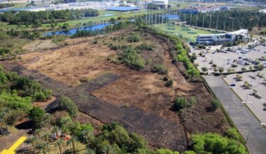 Universal Orlando Resort has cleared trees from a swath of land near Epic Universe, potentially for a new hotel.