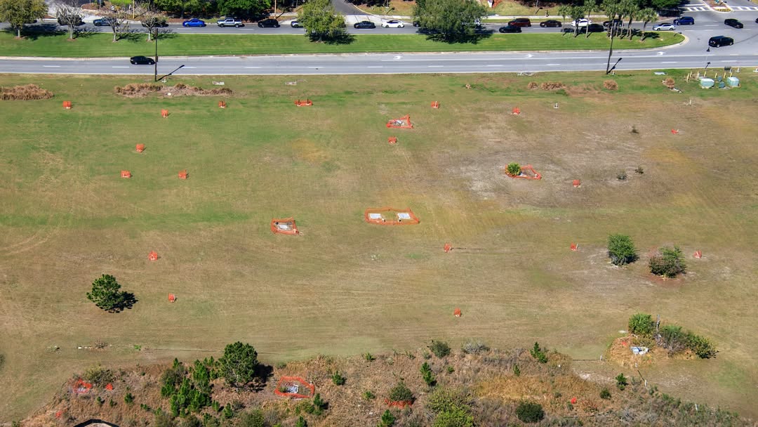 Universal Orlando Resort has cleared trees from a swath of land near Epic Universe, potentially for a new hotel.