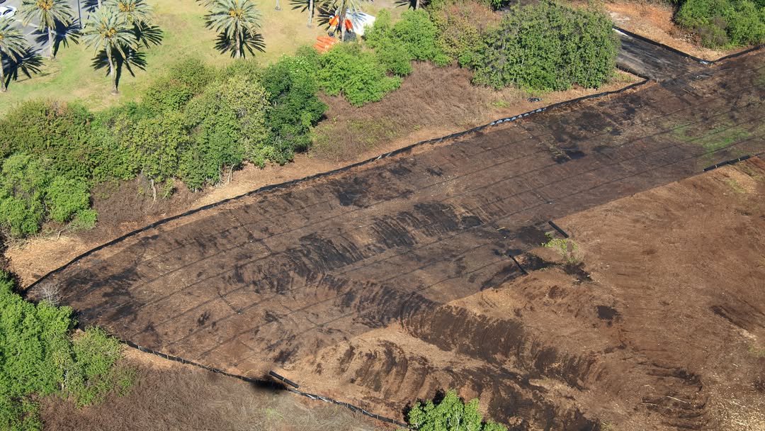 Universal Orlando Resort has cleared trees from a swath of land near Epic Universe, potentially for a new hotel.