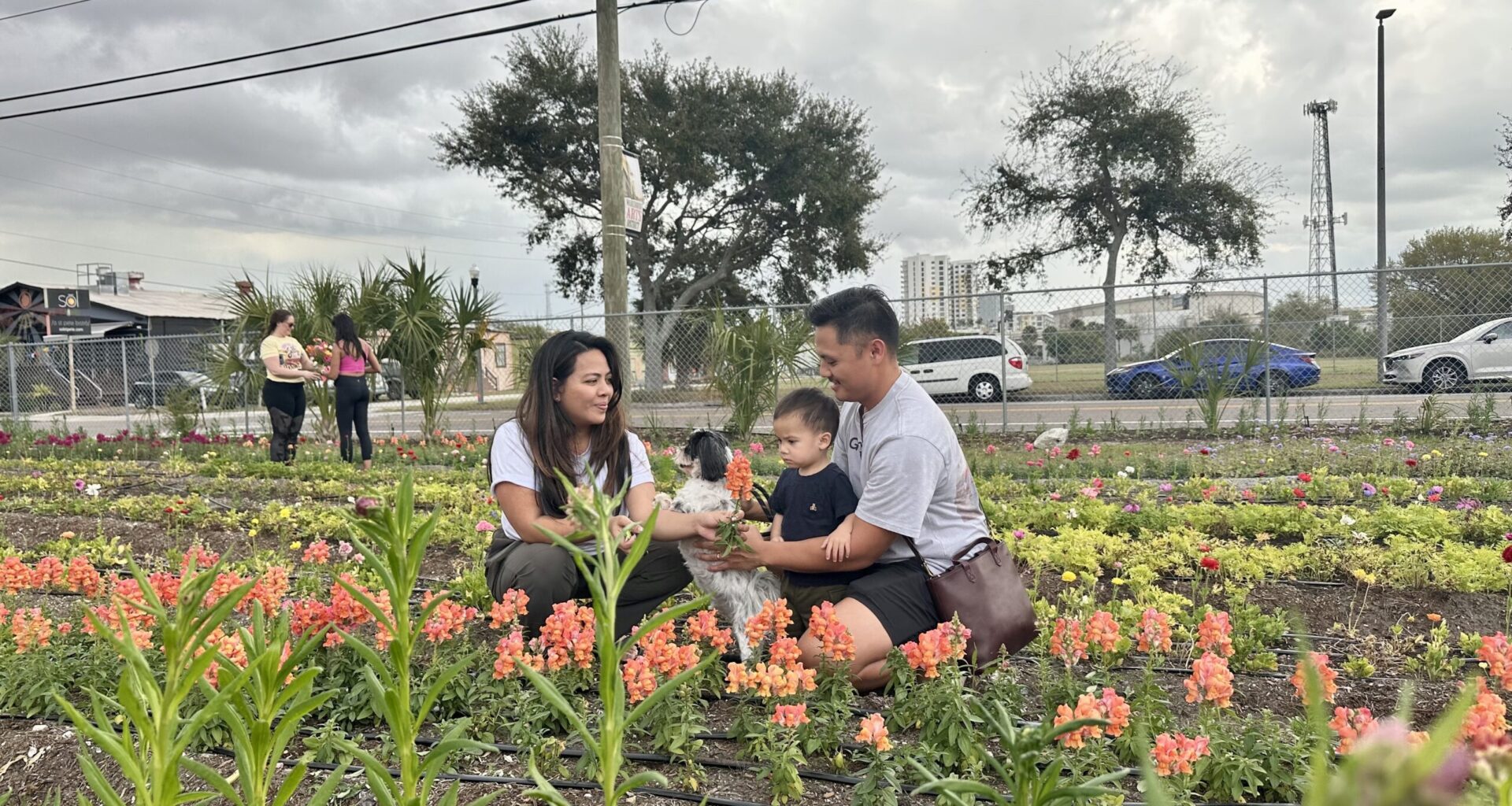 Padmé Flower Farm launches weekly U-Pick experiences