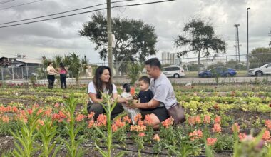Padmé Flower Farm launches weekly U-Pick experiences