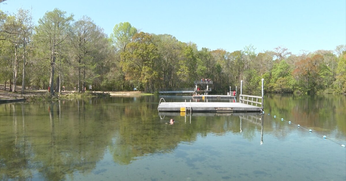 Exploring the history and beauty of Wakulla Springs State Park