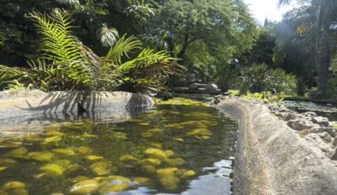 Miami Beach Botanical Garden offers a green escape in the heart of the city