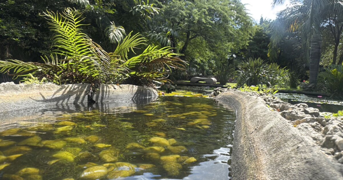 Miami Beach Botanical Garden offers a green escape in the heart of the city
