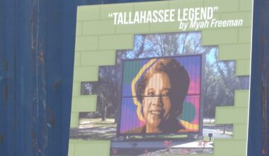 KCCI announces the artist lineup for largest public mural system in Leon County