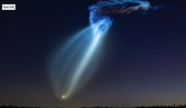 Tallahassee residents react to morning jellyfish cloud