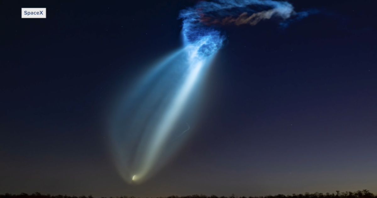 Tallahassee residents react to morning jellyfish cloud