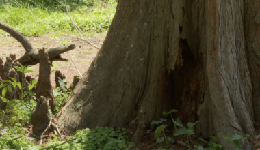 Drought conditions continue to worsen despite recent rainfall