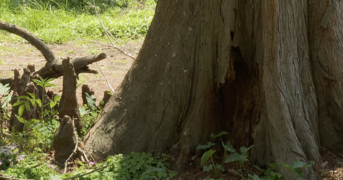 Drought conditions continue to worsen despite recent rainfall