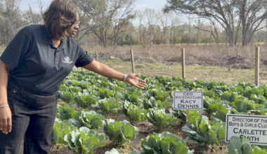 Miccosukee Boys and Girls Club kids grow a community garden