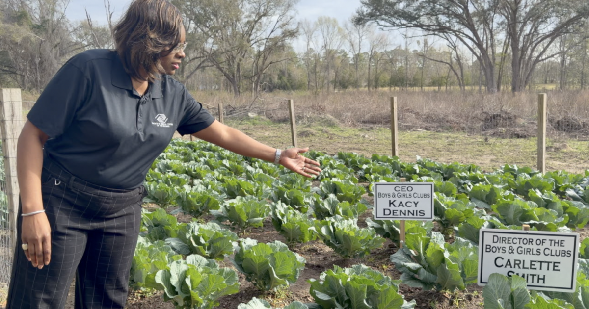 Miccosukee Boys and Girls Club kids grow a community garden
