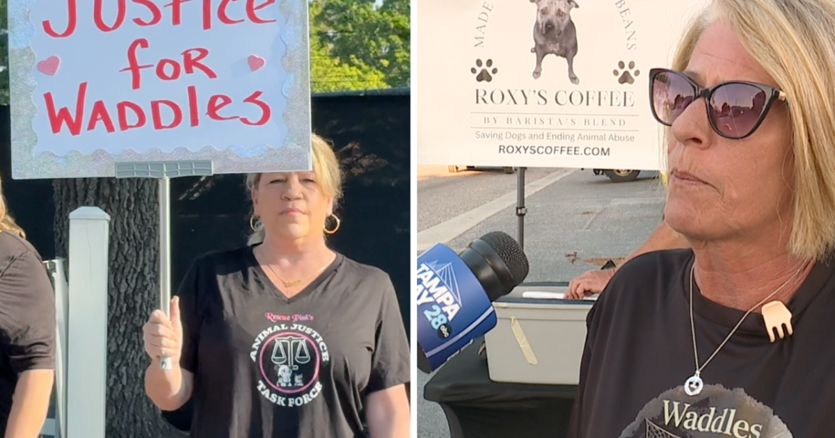Protesters seek accountability from SPCA Tampa Bay over animal cruelty citation