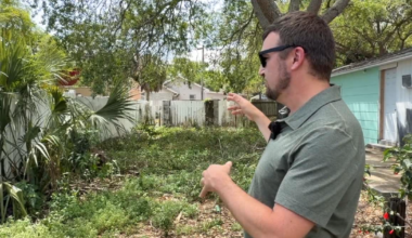 Residents concerned about neglected and dangerous alley in St. Pete