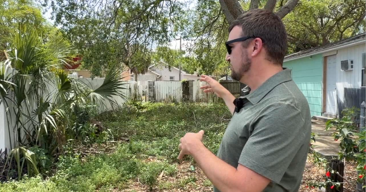 Residents concerned about neglected and dangerous alley in St. Pete