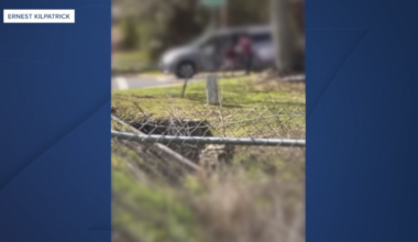 Mom demands answers after driver accused of beating her son with belt