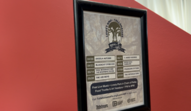 Free Levitt AMP Tallahassee music series aims to revitalize, connect neighbors