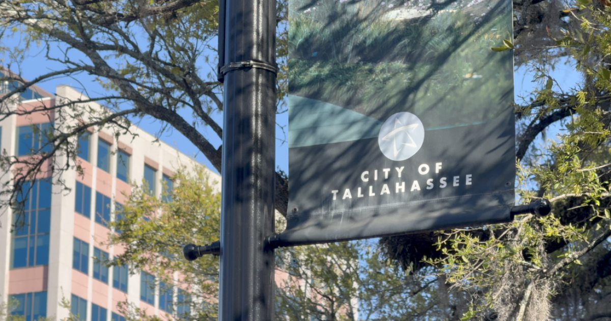 Lawsuit over Tallahassee fire service fees moves forward in part