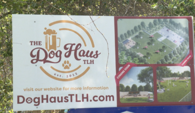 New dog park with a bar and food trucks brings community to Tallahassee