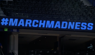 Things to do in Tampa Bay this weekend