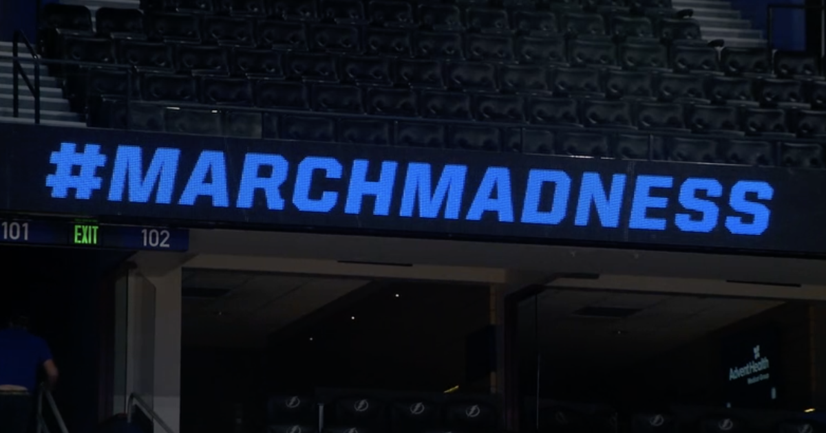 Things to do in Tampa Bay this weekend