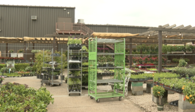 Big Bend drought impacts local farmers and nurseries access to supply