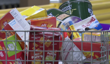 Leon County to hold workshop on food insecurity, considers new food division