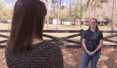 Couples left scrambling after Tampa Bay Area wedding venue abruptly closes