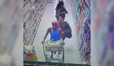 Deputies recover 262 cans of stolen baby formula in Martin County bust