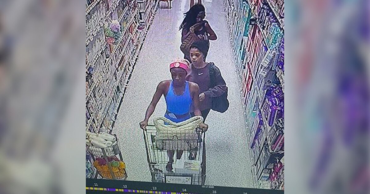 Deputies recover 262 cans of stolen baby formula in Martin County bust