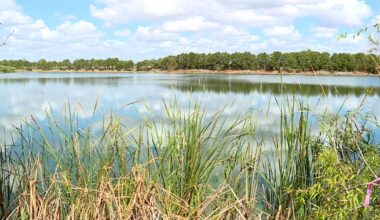 New nature preserve opens in this city