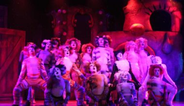 Broadway Palm and Cape Coral Animal Shelter join forces to draw attention to Lee County cat crisis | WGCU News